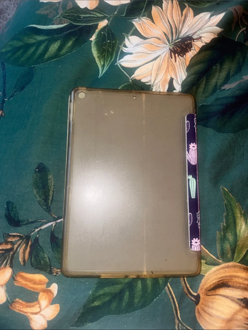 Cactus iPad Air 2 cover